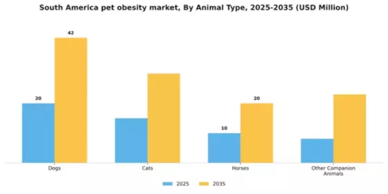 South America Pet Obesity Market Segment Image 0