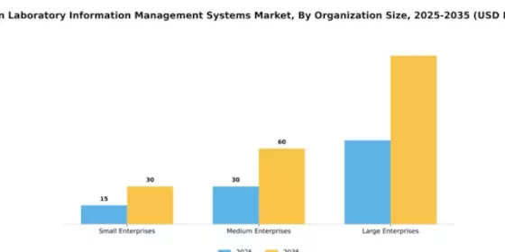 Japan Laboratory Information Management Systems Market Segment Image 4