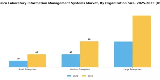 South America Laboratory Information Management Systems  Market Segment Image 3