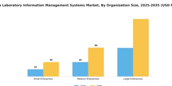India Laboratory Information Management Systems Market Segment Image 4