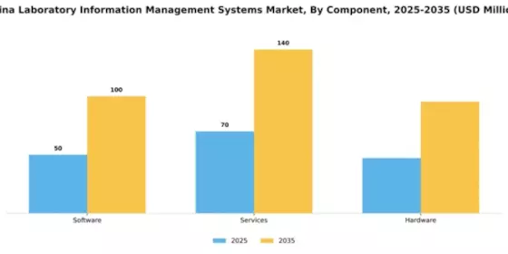 China Laboratory Information Management Systems Market Segment Image 1