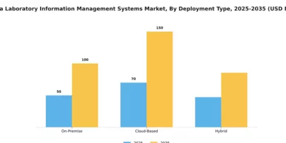 China Laboratory Information Management Systems Market Segment Image 2