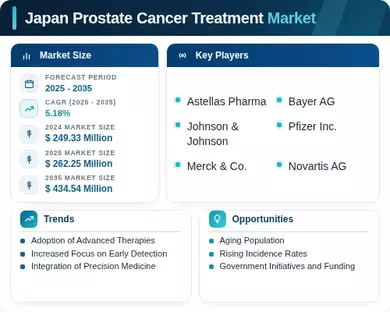 Japan Prostate Cancer Treatment Market Infographic