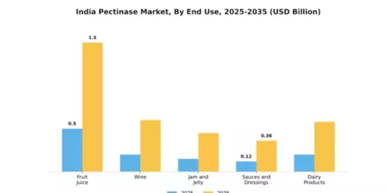 India Pectinase Market Segment Image 1