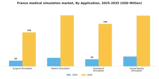 France Medical Simulation Market Segment Image 0