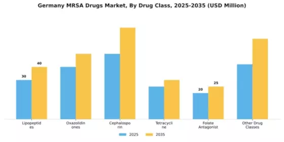 Germany MRSA Drugs Market Segment Image 1