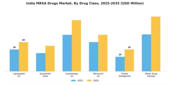 India MRSA Drugs Market Segment Image 1