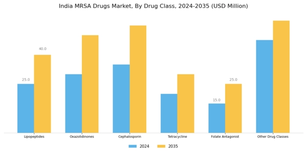 India MRSA Drugs Market Segment Image 0