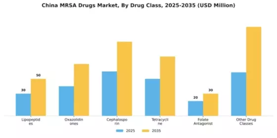 China MRSA Drugs Market Segment Image 1