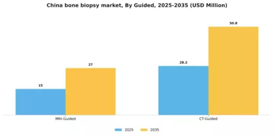 China Bone Biopsy Market Segment Image 1