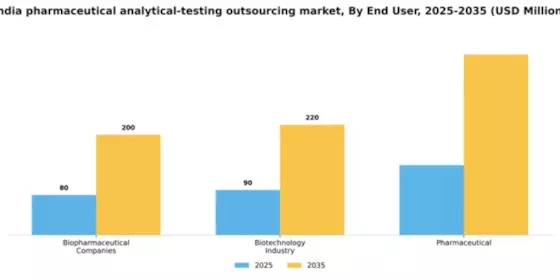 India Pharmaceutical Analytical Testing Outsourcing Market Segment Image 0