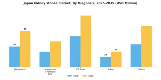 Japan Kidney Stones Market Segment Image 0
