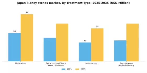 Japan Kidney Stones Market Segment Image 1