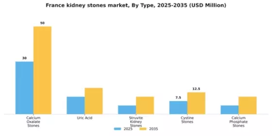 France Kidney Stones Market Segment Image 2