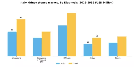 Italy Kidney Stones Market Segment Image 0