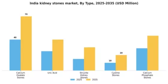 India Kidney Stones Market Segment Image 2