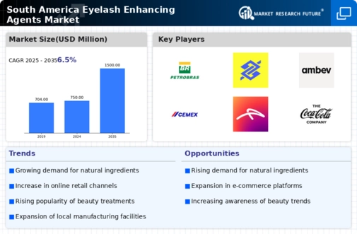 South America Eyelashes Enhancing Agents Market Infographic