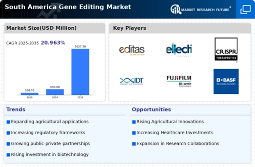 South America Gene Editing Market Infographic