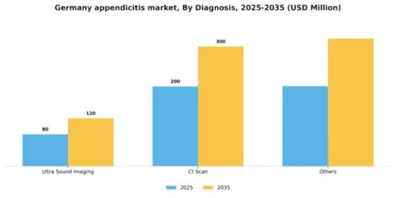 Germany Appendicitis Market Segment Image 0
