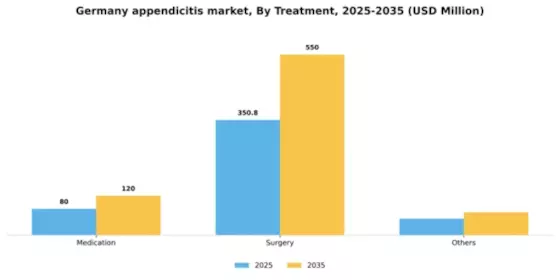 Germany Appendicitis Market Segment Image 2