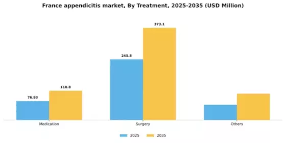 France Appendicitis Market Segment Image 2