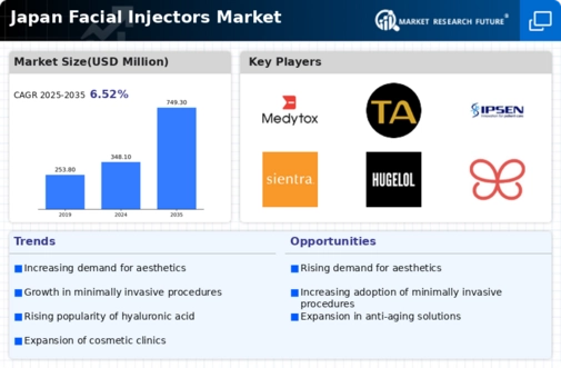 Japan Facial Injectors Market Infographic
