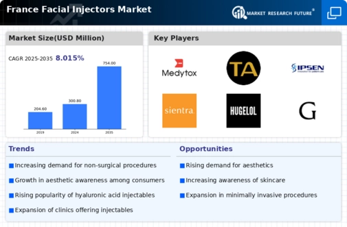 France Facial Injectors Market Research Report-Forecast to 2035 Infographic