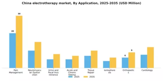 China Electrotherapy Market Segment Image 0