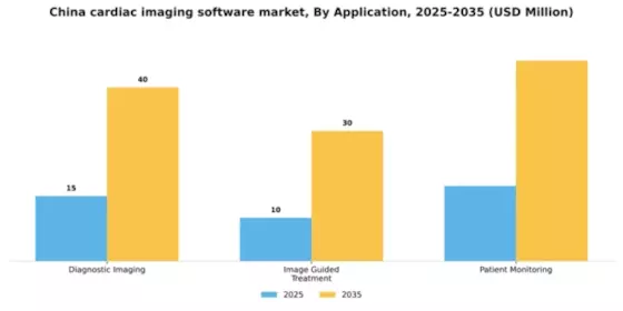 China Cardiac Imaging Software Market Segment Image 0