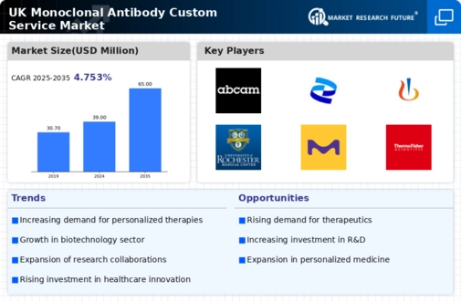 UK Monoclonal Antibody Custom Service Market Infographic