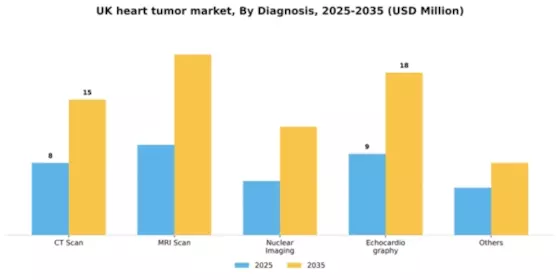 UK Heart Tumor Market Segment Image 0