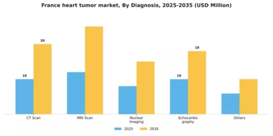 France Heart Tumor Market Segment Image 0