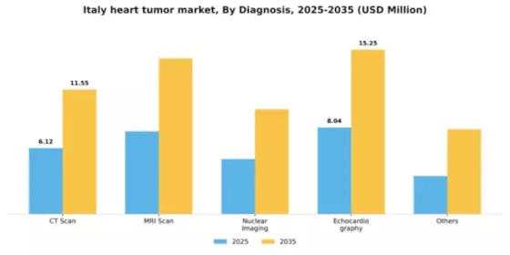 Italy Heart Tumor Market Segment Image 0
