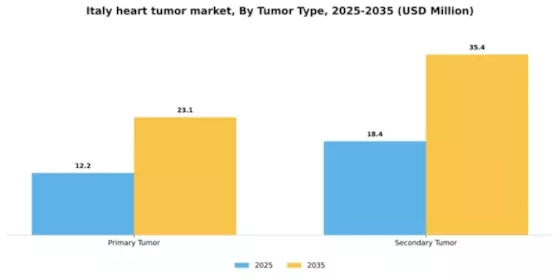 Italy Heart Tumor Market Segment Image 2