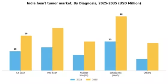 India Heart Tumor Market Segment Image 0