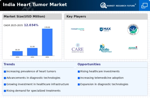 India Heart Tumor Market Infographic