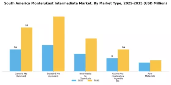 South America Montelukast Intermediate Market Segment Image 4