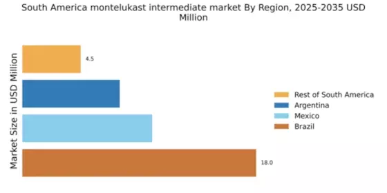 South America Montelukast Intermediate Market Regional Image