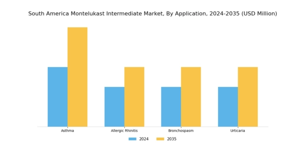 South America Montelukast Intermediate Market Segment Image 0
