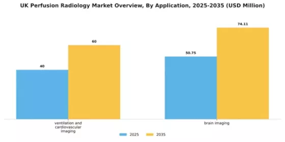 UK Perfusion Radiology Market Segment Image 0