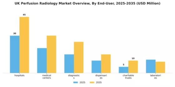 UK Perfusion Radiology Market Segment Image 1