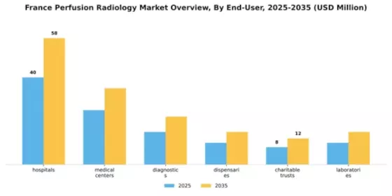 France Perfusion Radiology Market Segment Image 1