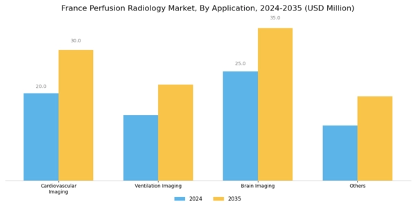 France Perfusion Radiology Market Segment Image 0