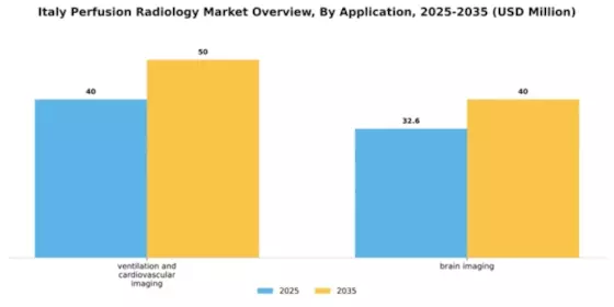 Italy Perfusion Radiology Market Segment Image 0