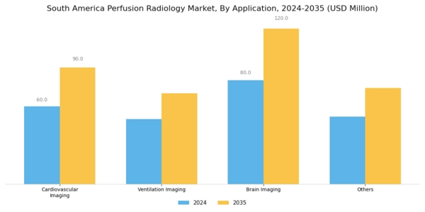 South America Perfusion Radiology Market Segment Image 0