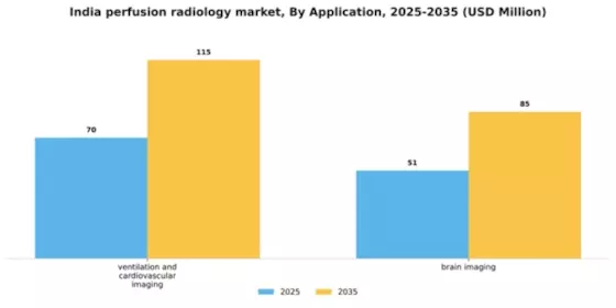 India Perfusion Radiology Market Segment Image 0