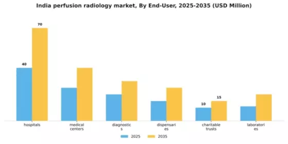 India Perfusion Radiology Market Segment Image 1