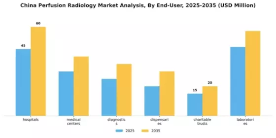 China Perfusion Radiology Market Segment Image 1