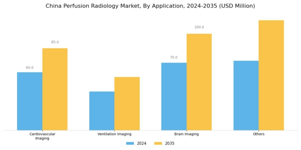 China Perfusion Radiology Market Segment Image 0