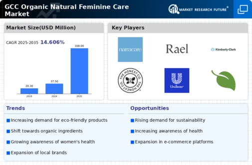 GCC Organic Natural Feminine Care Market Infographic